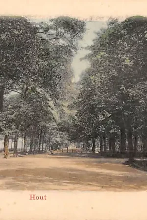 Alkmaar Hout 1900 HC28106 Wysoka jakość