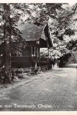 Wysoka jakość Santpoort Wustelaan met Zwitsersch Chalet 1951 Bloemendaal Haarlem HC26032