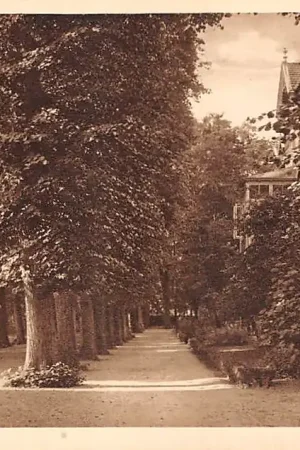 Heemstede Meer en Bosch Lindenlaan met Eben-Haezer HC25352 Niska cena