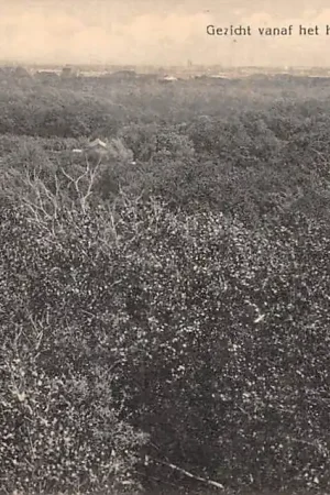 Oryginalny Bloemendaal Gezicht vanaf het Kopje op Haarlem HC23000