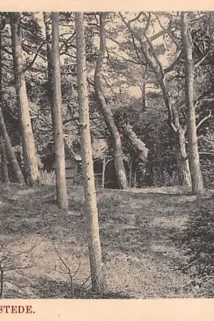 Heemstede Groenendaal Dennenberg Haarlem HC23779 Tylko dziś