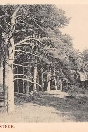 Heemstede Groenendaal Dennenberg Haarlem HC23778 Premium