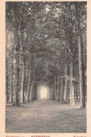 Tylko dziś Heemstede Groenendaal Torenlaan Haarlem HC23772