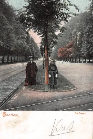 Haarlem De Dreef HC20043 Premium