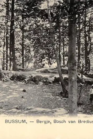 Darmowa dostawa Bussum Bergje, Bosch van Bredius 1908 HC16179