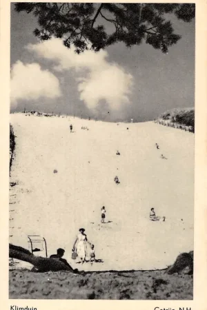 Catrijp Klimduin Bergen (NH) HC16142 Zamów teraz