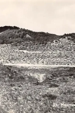 Sint Maartenszee In de Duinen 1961 Schagen HC15865 Zamów teraz