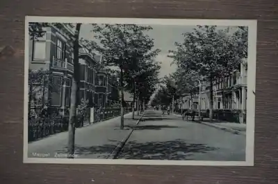 Tani Meppel Zuideinde