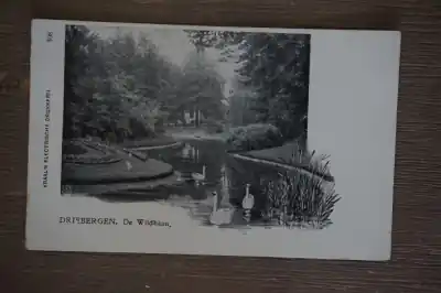 Nowość Driebergen De Wildbaan