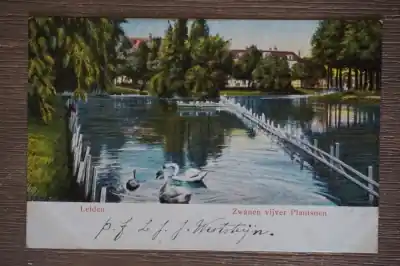 Darmowa dostawa Leiden Zwanen vijver plantsoen