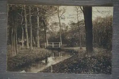 Wassenaar Duinrel Tylko dziś