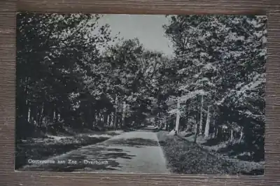 Wysoka jakość Oostvoorne Overbosch