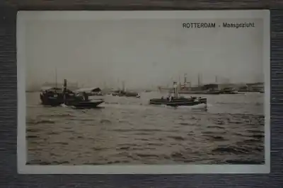 Rotterdam Maasgezicht Darmowa dostawa