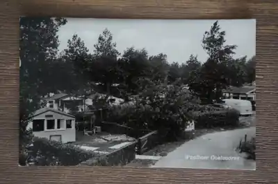 Ostatnia szansa Oostvoorne Waalboer