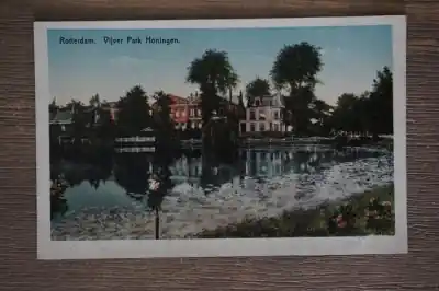 Rotterdam Vijver park Honingen Ekspresowa dostawa