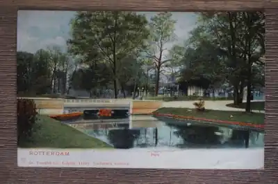 Rotterdam Park Tani