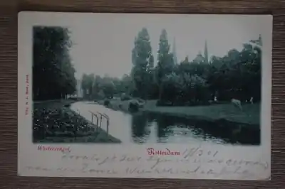 Rotterdam Westersingel Zamów teraz