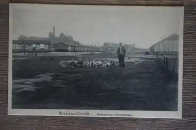 Oryginalny Rotterdam Noodwoningen Brielschelaan