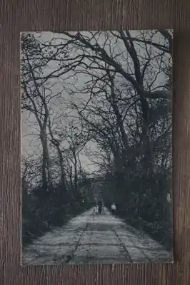 Wyprzedaż Oostvoorne 't Zwarte Laantje