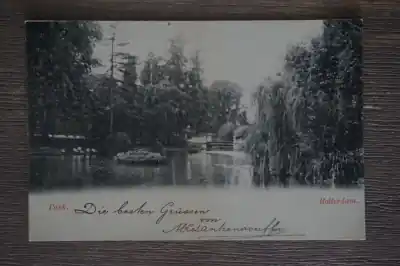 Promocja Rotterdam Park