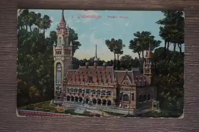 Den Haag Vredespaleis Ekspresowa dostawa