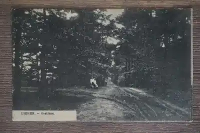 Dieren Oostlaan Tylko dziś