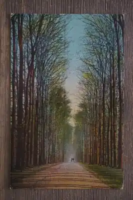 Arnhem Middachten Allee Zwrot pieniędzy