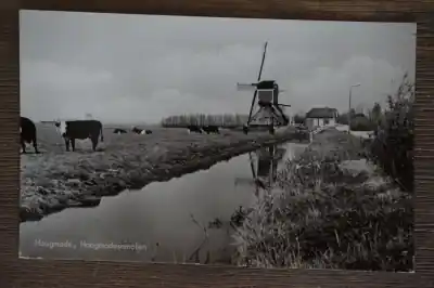 Hoogmade Hoogmadesemolen Wysoka jakość