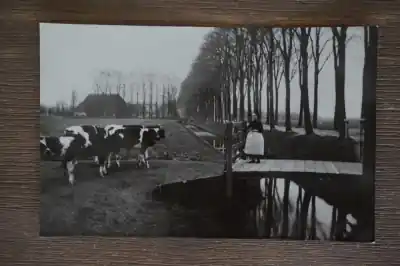 Kup teraz Dordrecht Dubbelsteynlaan omstreeks 1900