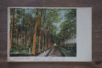 Ulvenhout Ulvenhoutsche bosch Zamów teraz