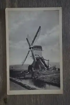 Molen Darmowa dostawa