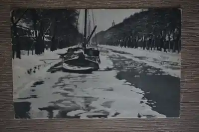 Den Helder Wintergracht Autentyczny