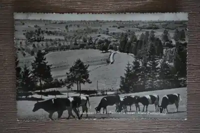 Slenaken Panorama vanaf Klein Zwitseland Tani