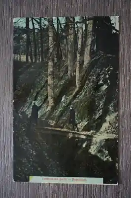 Nowość Rozendaal Zwitsersche partij