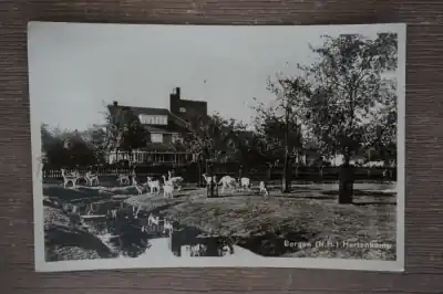 Tylko dziś Bergen Hertenkamp