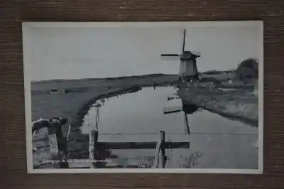 Bergen Damlandermolen Tylko dziś