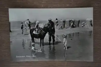 Zandvoort Pony rijden Najlepsza cena