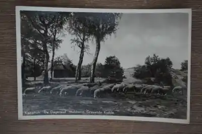 Hulsthorst Kamphuis de Dageraad Grazende kudde Oferta limitowana