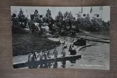 Alphen aan de Rijn Avifauna Wyprzedaż