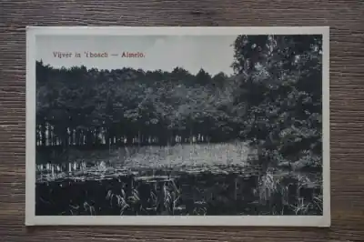 Ostatnia szansa Almelo Vijver in 't bosch