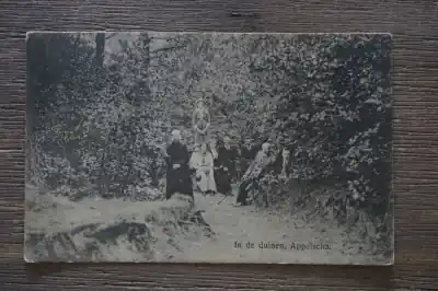 Appelscha In de duinen Darmowa dostawa