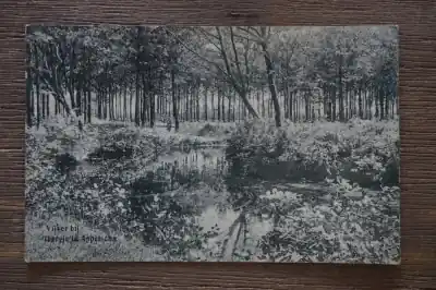 Appelscha Vijver bij 't bergje Darmowa dostawa