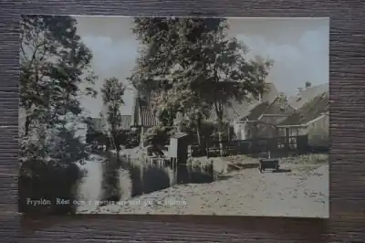 Friesland Niska cena