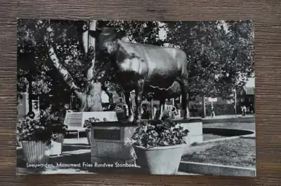 Szybka dostawa Leeuwarden Monument fries rundvee stamboek