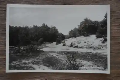 Bakkeveen Duinen Szybka dostawa