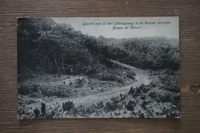 Bergen en Schoorl Gezicht vanaf den Staringsweg in de duinen Szybka dostawa