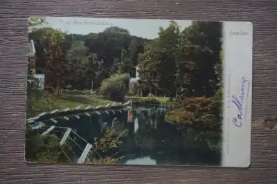 Premium Haarlem Vijver Haarlemmerhoutpark