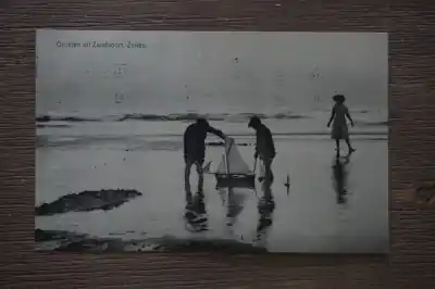 Zandvoort Zeilen Kup teraz