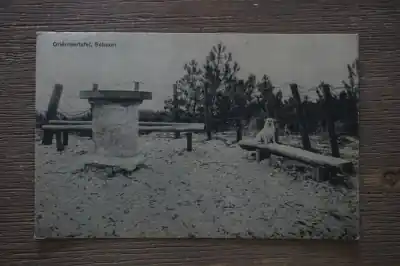 Wyprzedaż Schoorl Orienteertafel