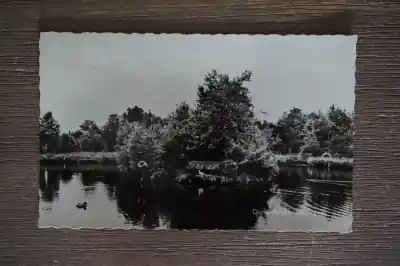 Niska cena Donkerbroek De Vijver